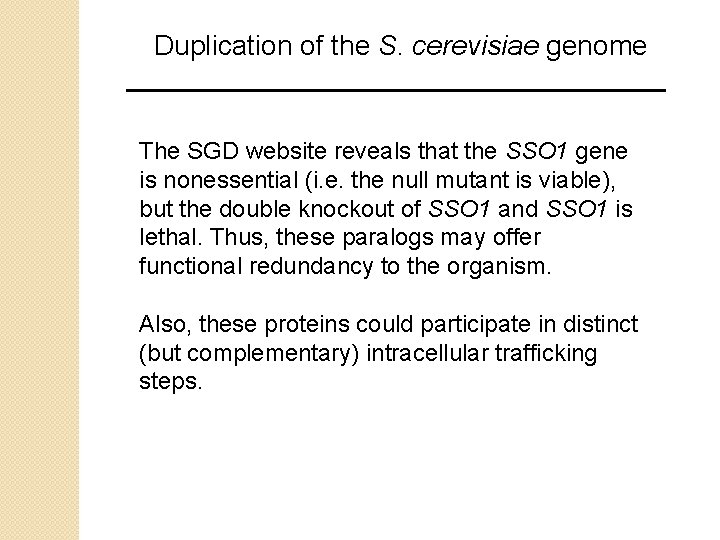 Duplication of the S. cerevisiae genome The SGD website reveals that the SSO 1