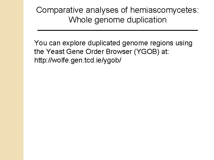 Comparative analyses of hemiascomycetes: Whole genome duplication You can explore duplicated genome regions using