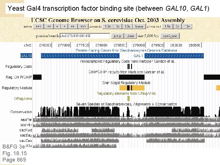 Yeast Gal 4 transcription factor binding site (between GAL 10, GAL 1) B&FG 3