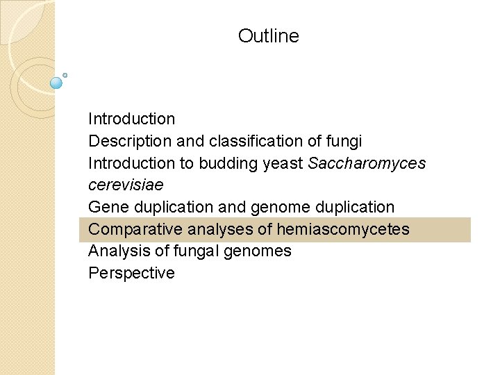 Outline Introduction Description and classification of fungi Introduction to budding yeast Saccharomyces cerevisiae Gene