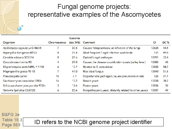 Fungal genome projects: representative examples of the Ascomycetes B&FG 3 e Table 18. 3