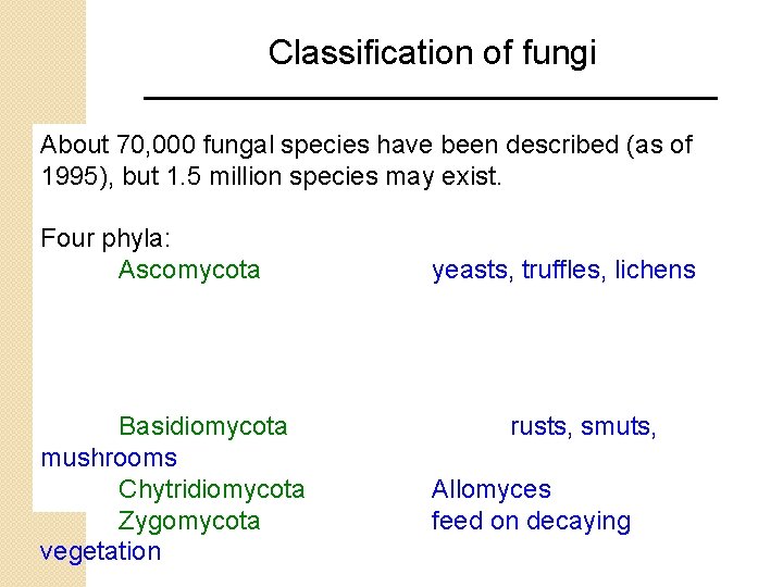 Classification of fungi About 70, 000 fungal species have been described (as of 1995),