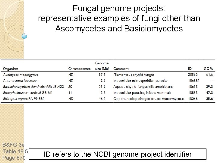 Fungal genome projects: representative examples of fungi other than Ascomycetes and Basiciomycetes B&FG 3