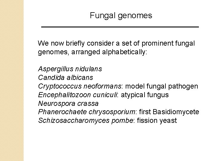 Fungal genomes We now briefly consider a set of prominent fungal genomes, arranged alphabetically: