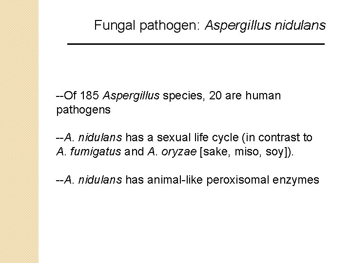 Fungal pathogen: Aspergillus nidulans --Of 185 Aspergillus species, 20 are human pathogens --A. nidulans