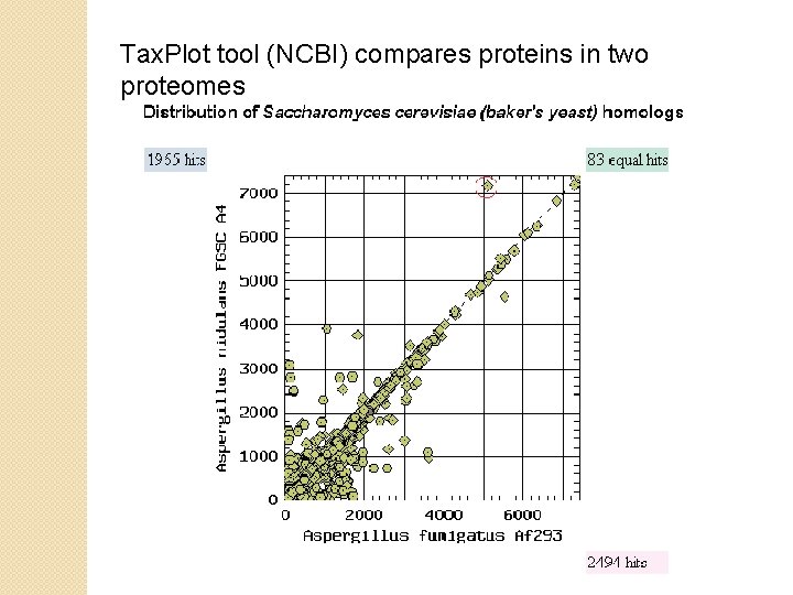 Tax. Plot tool (NCBI) compares proteins in two proteomes 