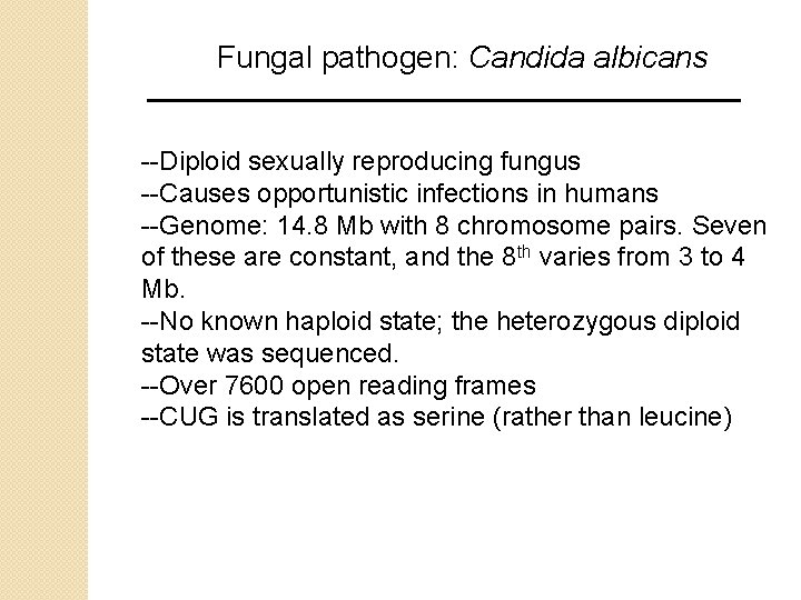 Fungal pathogen: Candida albicans --Diploid sexually reproducing fungus --Causes opportunistic infections in humans --Genome: