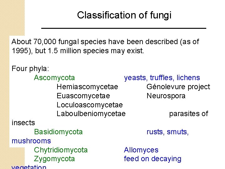 Classification of fungi About 70, 000 fungal species have been described (as of 1995),