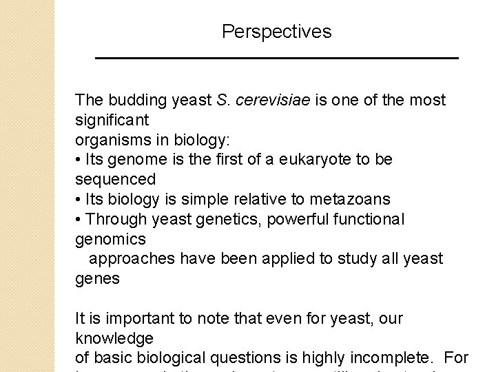 Perspectives The budding yeast S. cerevisiae is one of the most significant organisms in