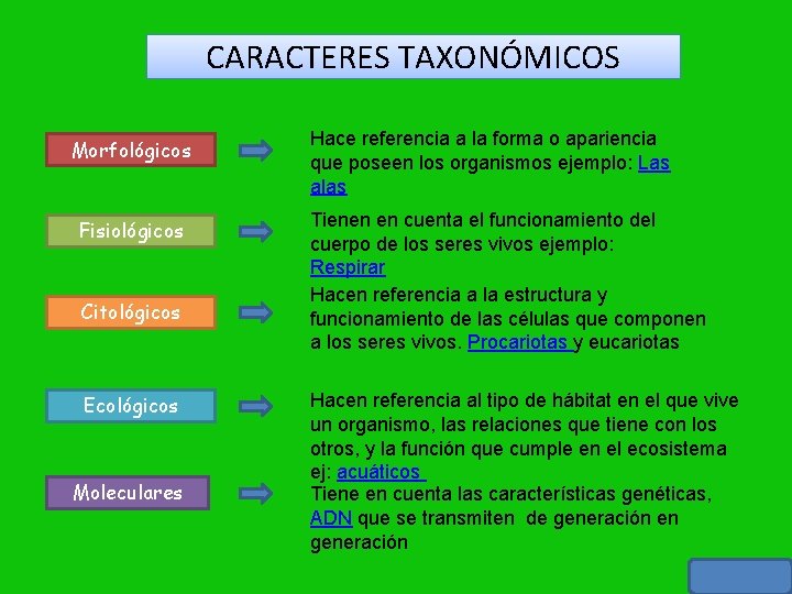 CARACTERES TAXONÓMICOS Morfológicos Fisiológicos Citológicos Ecológicos Moleculares Hace referencia a la forma o apariencia