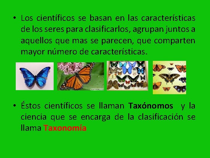  • Los científicos se basan en las características de los seres para clasificarlos,