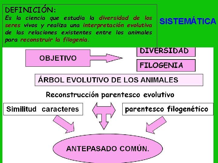 DEFINICIÓN: Es la ciencia que estudia la diversidad de los seres vivos y realiza