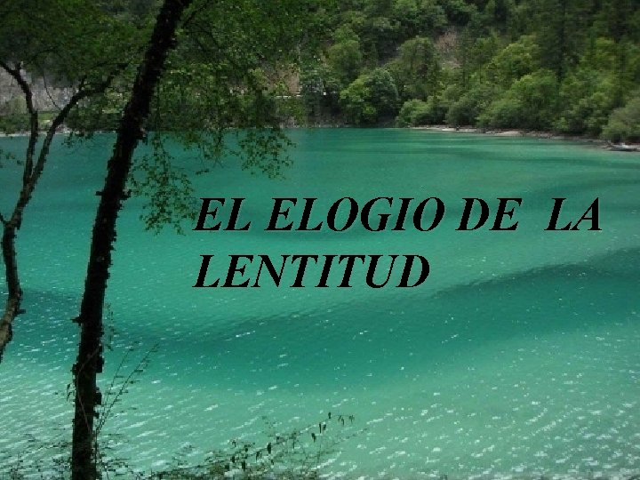EL ELOGIO DE LA LENTITUD 
