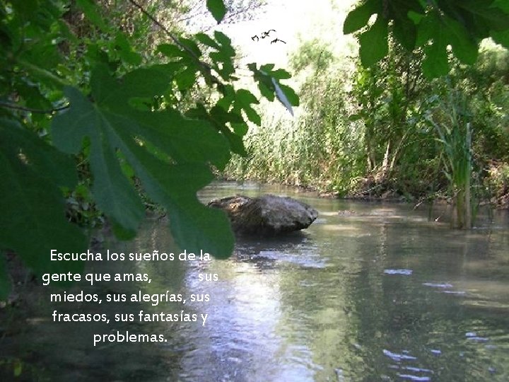 Escucha los sueños de la gente que amas, sus miedos, sus alegrías, sus fracasos,