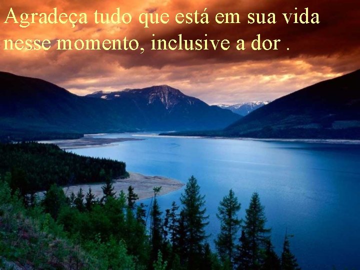 Agradeça tudo que está em sua vida nesse momento, inclusive a dor. 