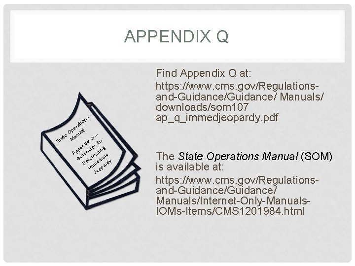 APPENDIX Q ns io t a er l p a O e anu –