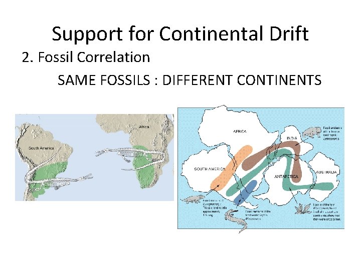 Support for Continental Drift 2. Fossil Correlation SAME FOSSILS : DIFFERENT CONTINENTS 