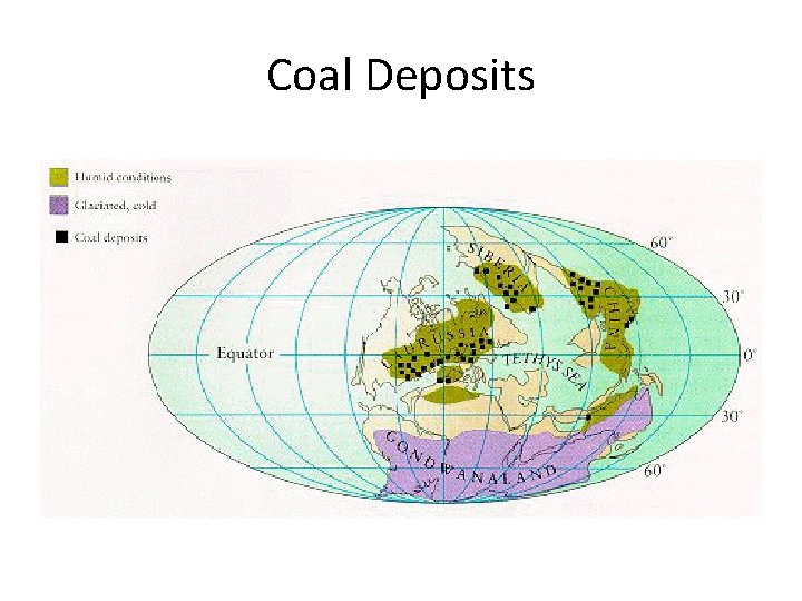 Coal Deposits 