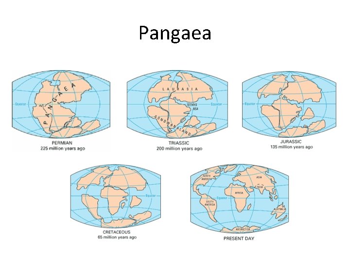 Pangaea 