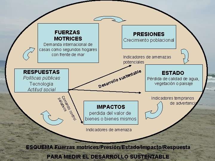 FUERZAS MOTRICES PRESIONES Crecimiento poblacional Demanda internacional de casas como segundos hogares con frente