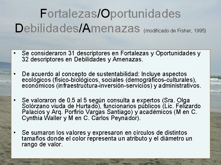 Fortalezas/Oportunidades Debilidades/Amenazas (modificado de Fisher, 1995) • Se consideraron 31 descriptores en Fortalezas y