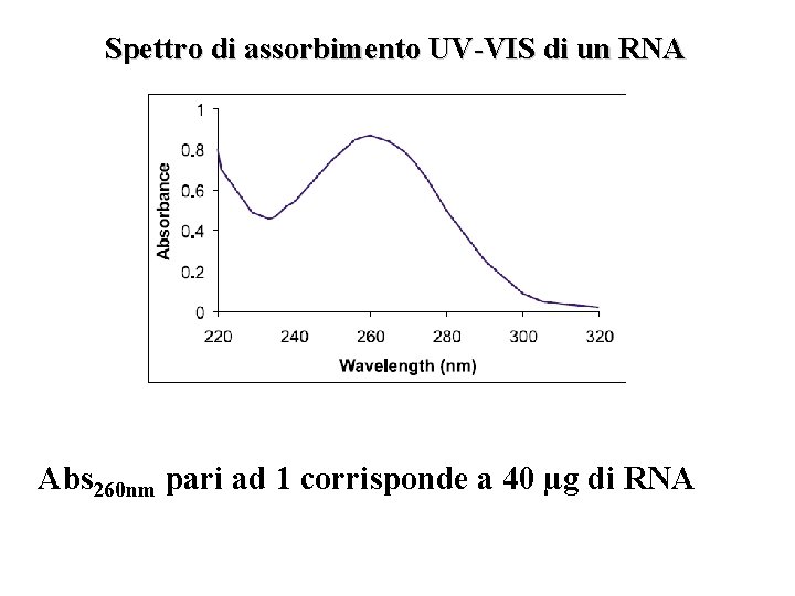 Spettro di assorbimento UV-VIS di un RNA Abs 260 nm pari ad 1 corrisponde