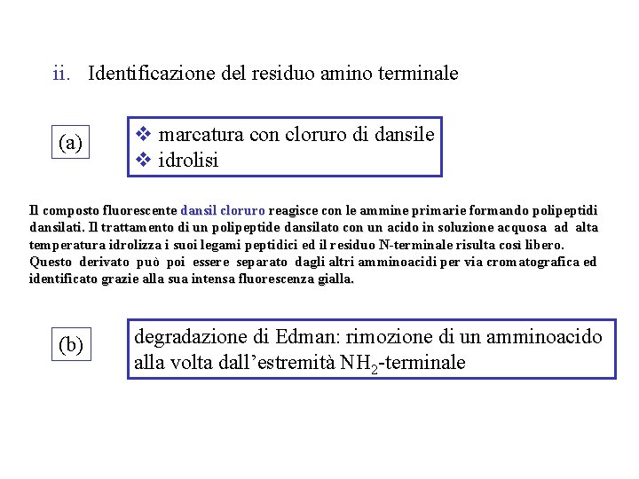 ii. Identificazione del residuo amino terminale (a) v marcatura con cloruro di dansile v