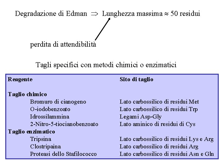 Degradazione di Edman Lunghezza massima 50 residui perdita di attendibilità Tagli specifici con metodi