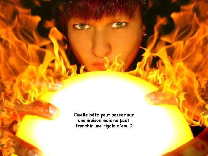 Quelle bête peut passer sur une maison mais ne peut franchir une rigole d'eau