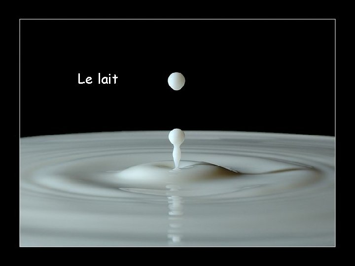 Le lait 