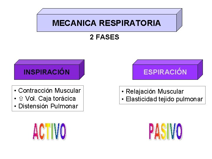 MECANICA RESPIRATORIA 2 FASES INSPIRACIÓN • Contracción Muscular • Vol. Caja torácica • Distensión MECANICA RESPIRATORIA 2 FASES INSPIRACIÓN • Contracción Muscular • Vol. Caja torácica • Distensión