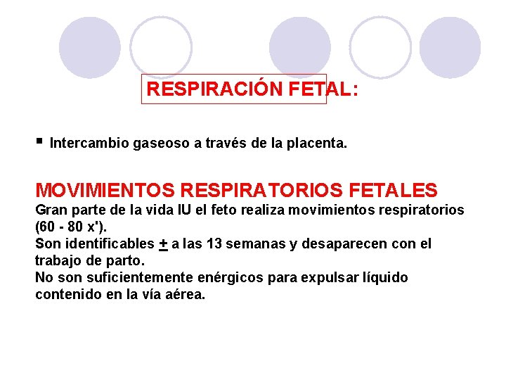 RESPIRACIÓN FETAL: § Intercambio gaseoso a través de la placenta. MOVIMIENTOS RESPIRATORIOS FETALES Gran RESPIRACIÓN FETAL: § Intercambio gaseoso a través de la placenta. MOVIMIENTOS RESPIRATORIOS FETALES Gran