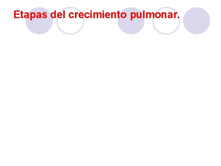 Etapas del crecimiento pulmonar. Etapas del crecimiento pulmonar.