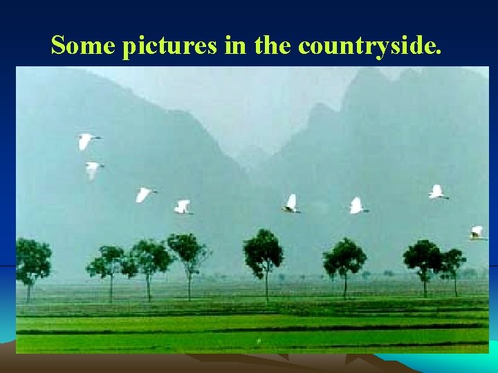 Some pictures in the countryside. 