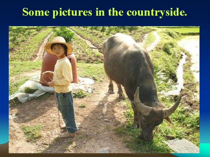 Some pictures in the countryside. 