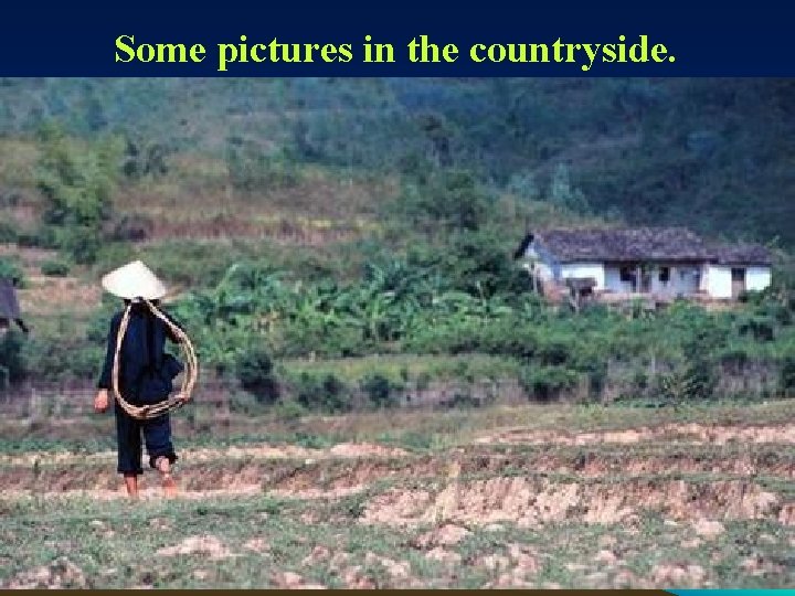 Some pictures in the countryside. 