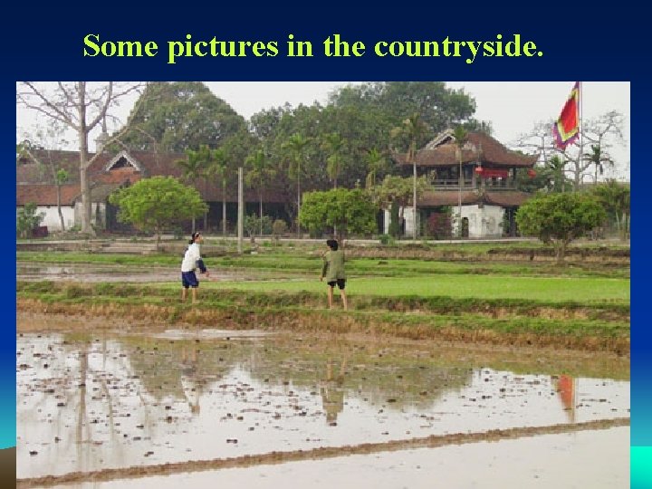 Some pictures in the countryside. 