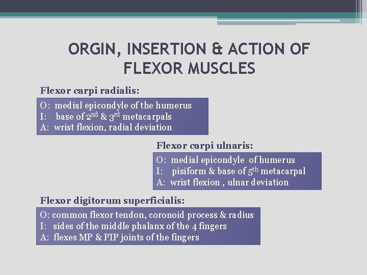 ORGIN, INSERTION & ACTION OF FLEXOR MUSCLES Flexor carpi radialis: O: medial epicondyle of