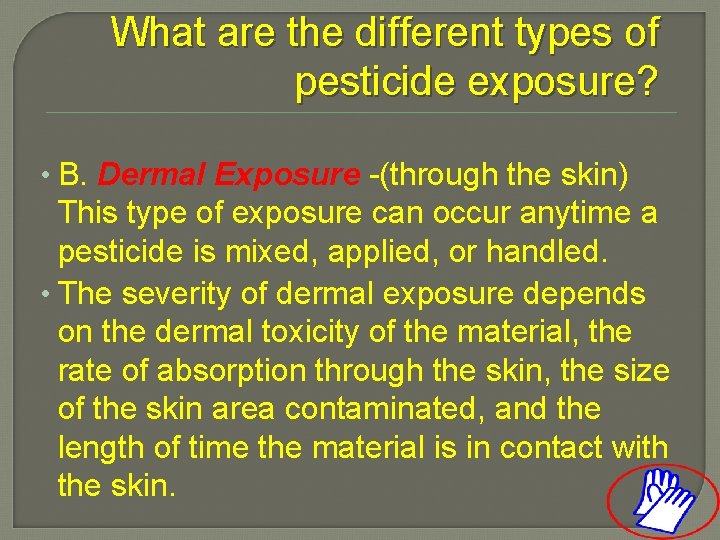 What are the different types of pesticide exposure? • B. Dermal Exposure -(through the