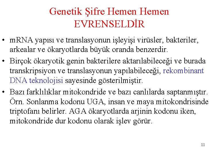 Genetik Şifre Hemen EVRENSELDİR • m. RNA yapısı ve translasyonun işleyişi virüsler, bakteriler, arkealar