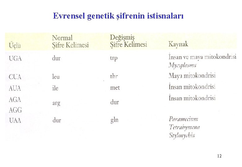 Evrensel genetik şifrenin istisnaları 12 