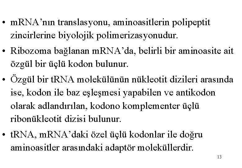  • m. RNA’nın translasyonu, aminoasitlerin polipeptit zincirlerine biyolojik polimerizasyonudur. • Ribozoma bağlanan m.