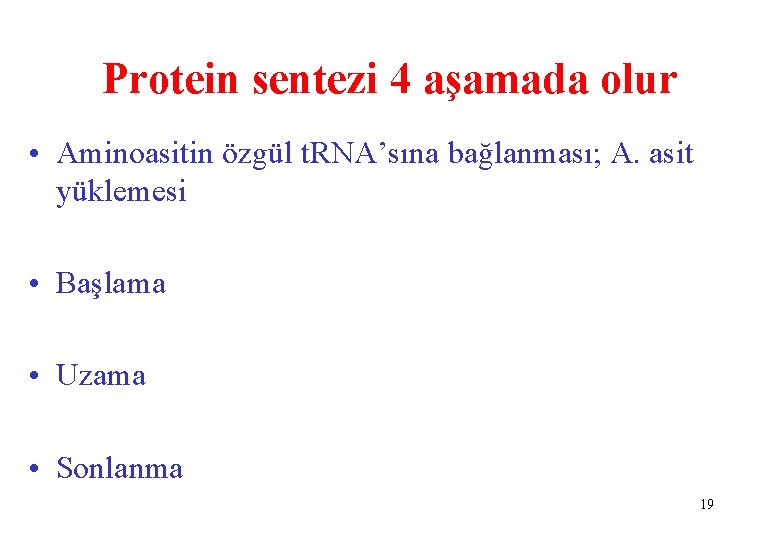 Protein sentezi 4 aşamada olur • Aminoasitin özgül t. RNA’sına bağlanması; A. asit yüklemesi