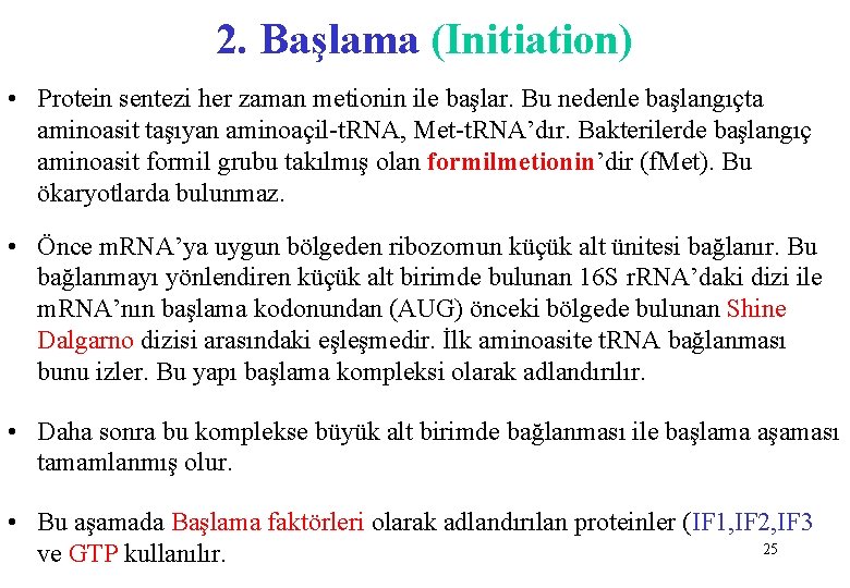 2. Başlama (Initiation) • Protein sentezi her zaman metionin ile başlar. Bu nedenle başlangıçta