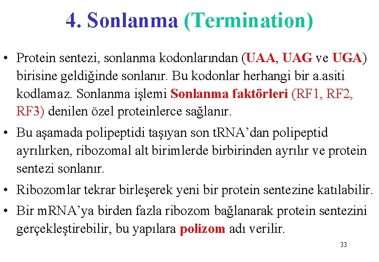 4. Sonlanma (Termination) • Protein sentezi, sonlanma kodonlarından (UAA, UAG ve UGA) birisine geldiğinde