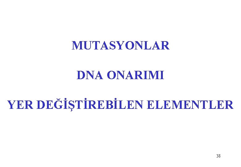 MUTASYONLAR DNA ONARIMI YER DEĞİŞTİREBİLEN ELEMENTLER 38 