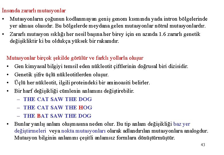 İnsanda zararlı mutasyonlar • Mutasyonların çoğunun kodlanmayan geniş genom kısmında yada intron bölgelerinde yer