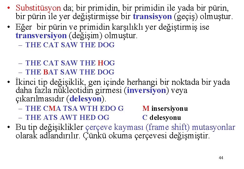  • Substitüsyon da; bir primidin, bir primidin ile yada bir pürin, bir pürin