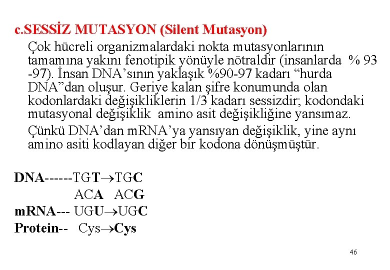 c. SESSİZ MUTASYON (Silent Mutasyon) Çok hücreli organizmalardaki nokta mutasyonlarının tamamına yakını fenotipik yönüyle