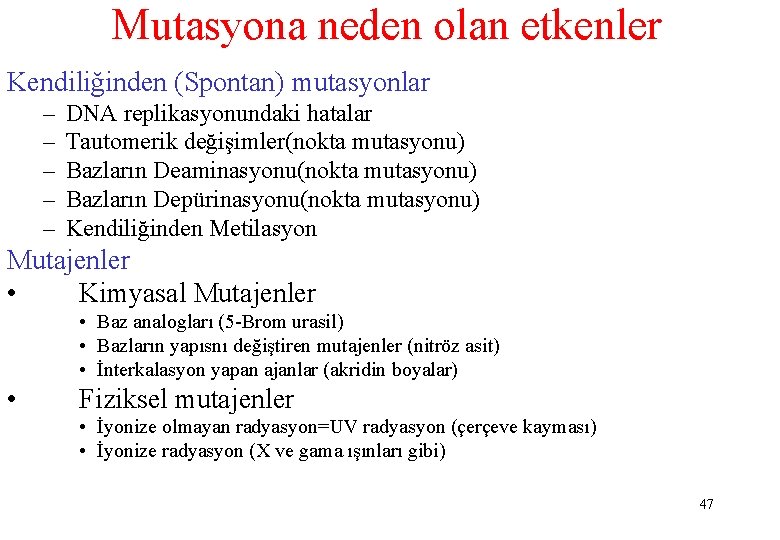 Mutasyona neden olan etkenler Kendiliğinden (Spontan) mutasyonlar – – – DNA replikasyonundaki hatalar Tautomerik